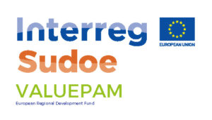 Logo proyecto ValuePAM