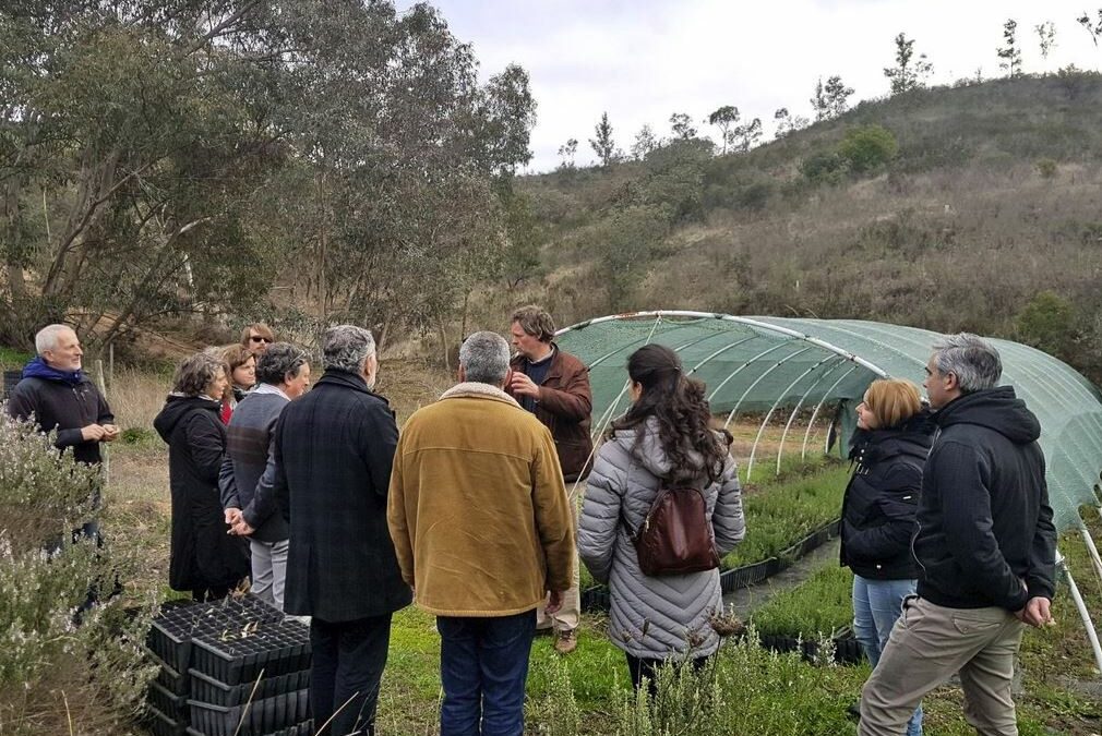 Los socios del proyecto ValuePAM se reúnen en Mértola para fomentar la innovación y transferencia de buenas prácticas en el sector de las plantas aromáticas y medicinales