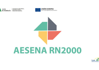 AESENA RN2000