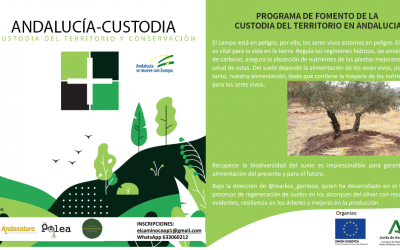 Voluntariado Regeneración de suelos y gestión del olivar, Finca los Niños, Campillo.